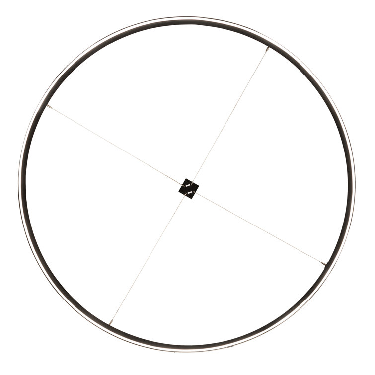 Black and White Acrylic LED Ring Pendant Light