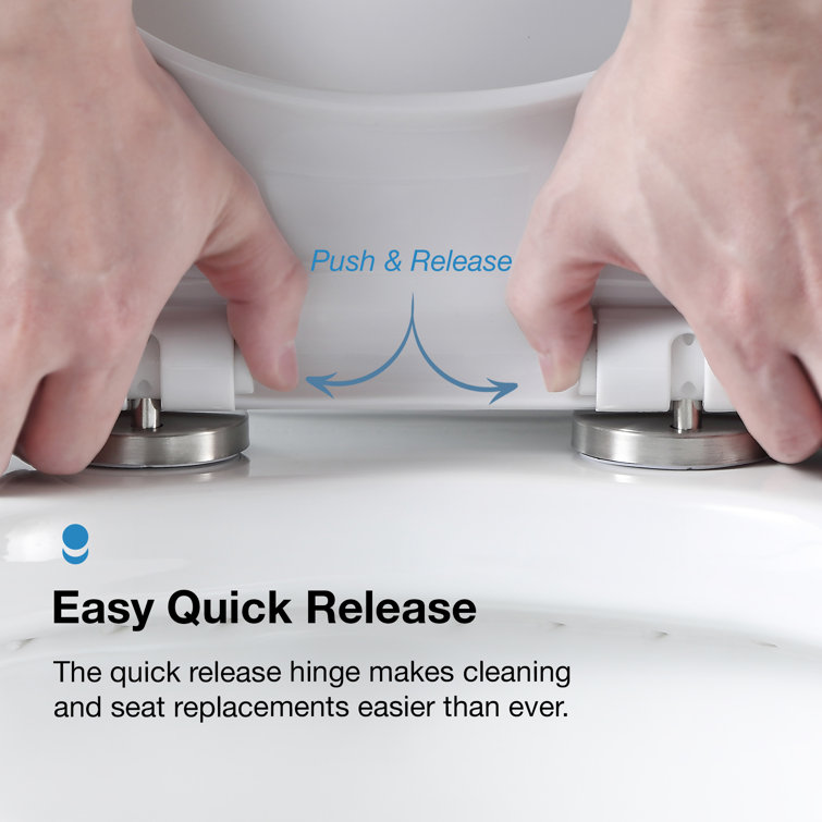 White Elongated Dual Flush High Efficiency Two-Piece Toilet
