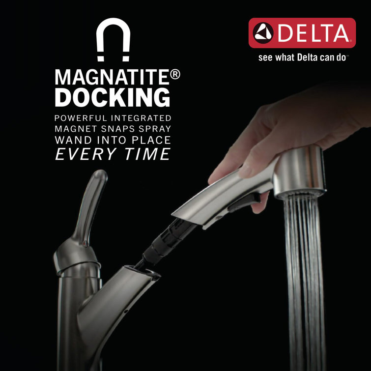 Polished Nickel Traditional Pull-Out Spray Kitchen Faucet