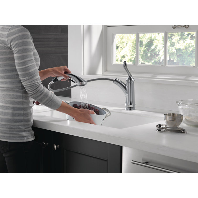 Arctic Stainless Single Handle Kitchen Faucet with Pull-Out Spray
