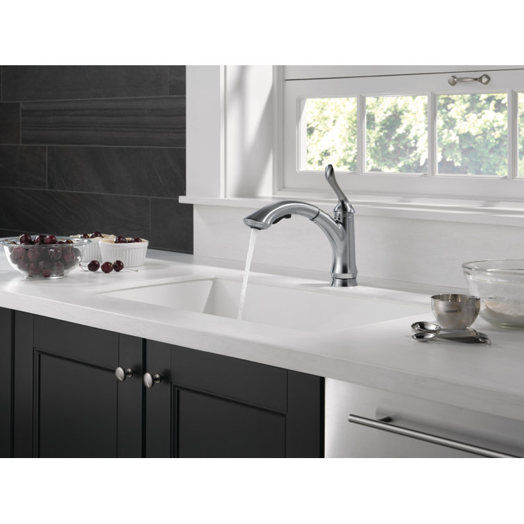 Arctic Stainless Single Handle Kitchen Faucet with Pull-Out Spray