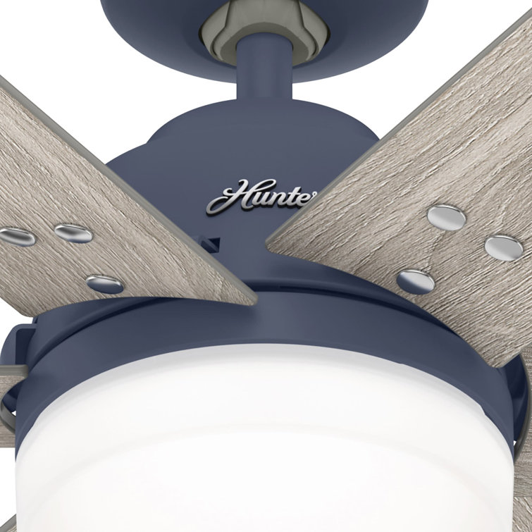 Indigo Blue 44" Pacer 6-Blade Ceiling Fan with LED Light and Remote