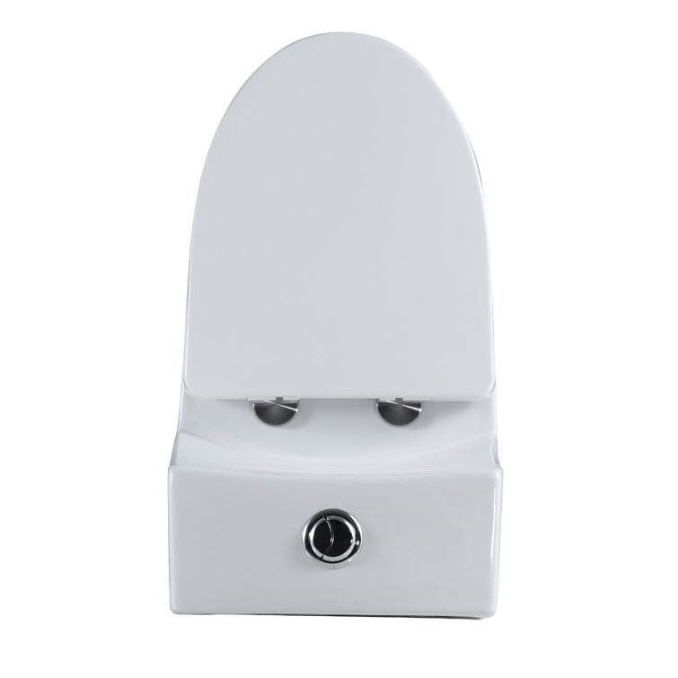 White Ceramic Dual Flush Elongated One-Piece Toilet