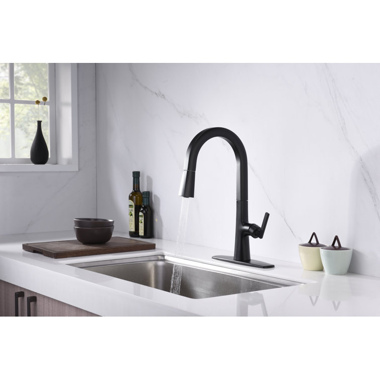 Matte Black Brass Single-Handle Pull-Down Kitchen Faucet