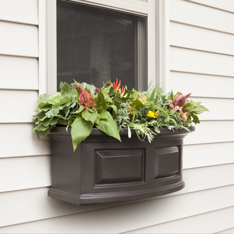 Espresso Polyethylene Self-Watering Outdoor Window Box Planter