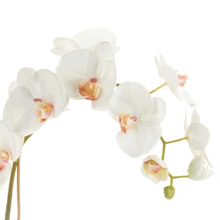 Elegant White Phalaenopsis Orchid Silk Floral Arrangement 26"