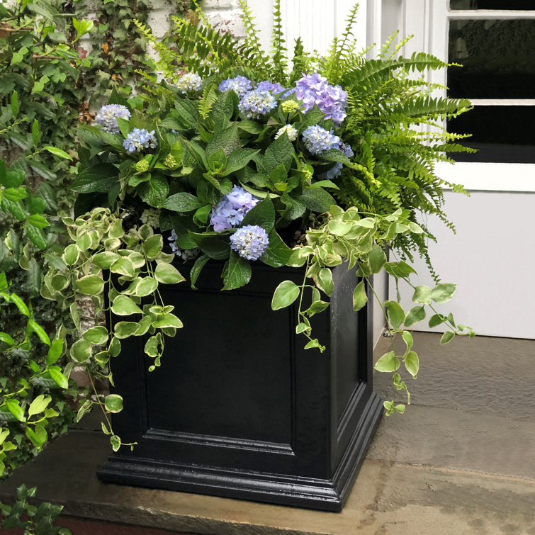 Fairfield 28" Square Black Polyethylene Outdoor Planter Box