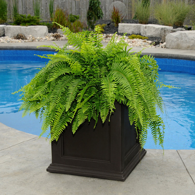Fairfield 28" Square Black Polyethylene Outdoor Planter Box