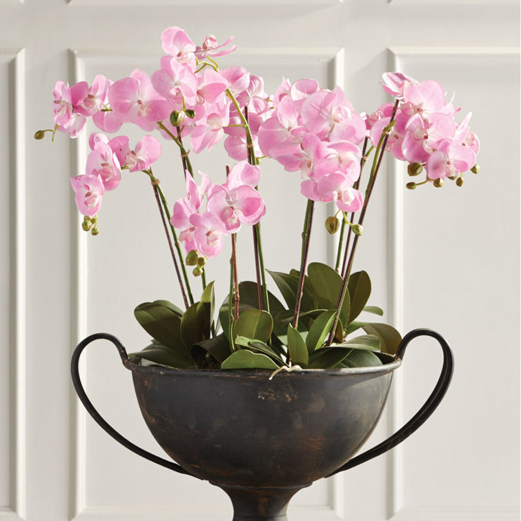Pink Silk Orchid Arrangement with Lights in Plastic Pot