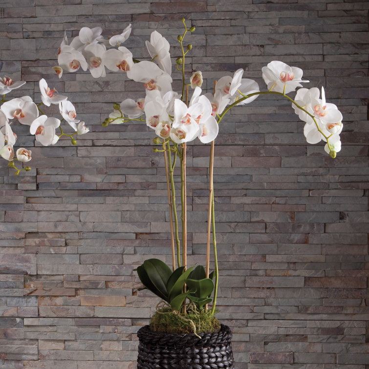 White Faux Phalaenopsis Orchid Potted Tabletop Decor, 31"