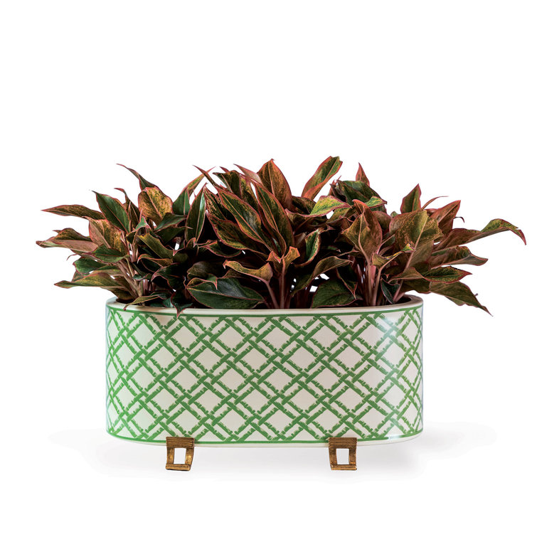 Meadow Green and Cream Porcelain Oval Planter with Brass Feet