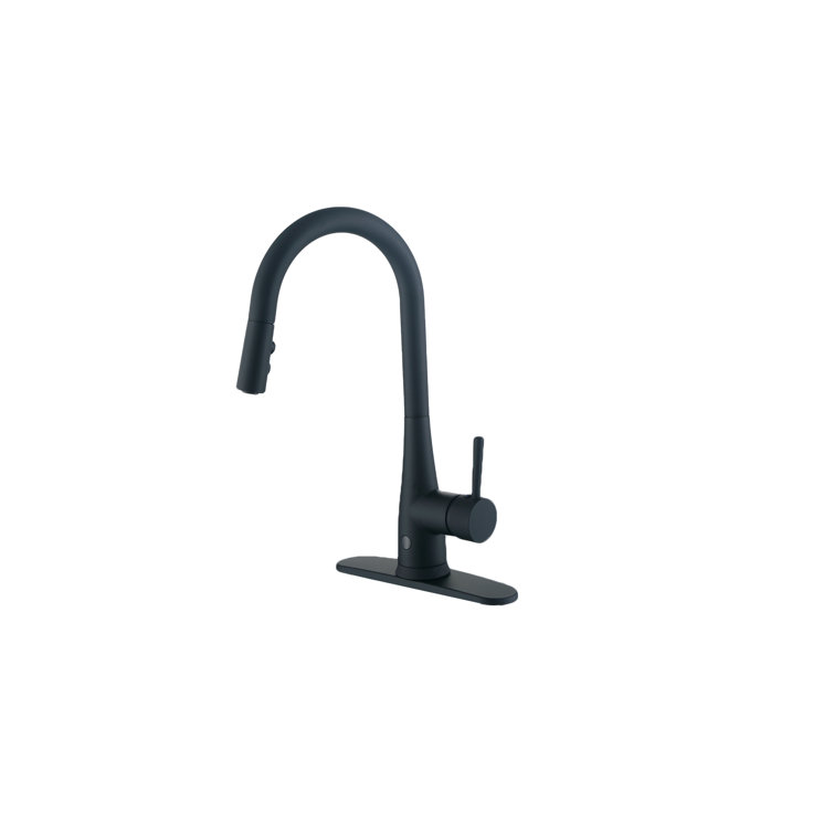 Matte Black Stainless Steel Touchless Pull Down Kitchen Faucet