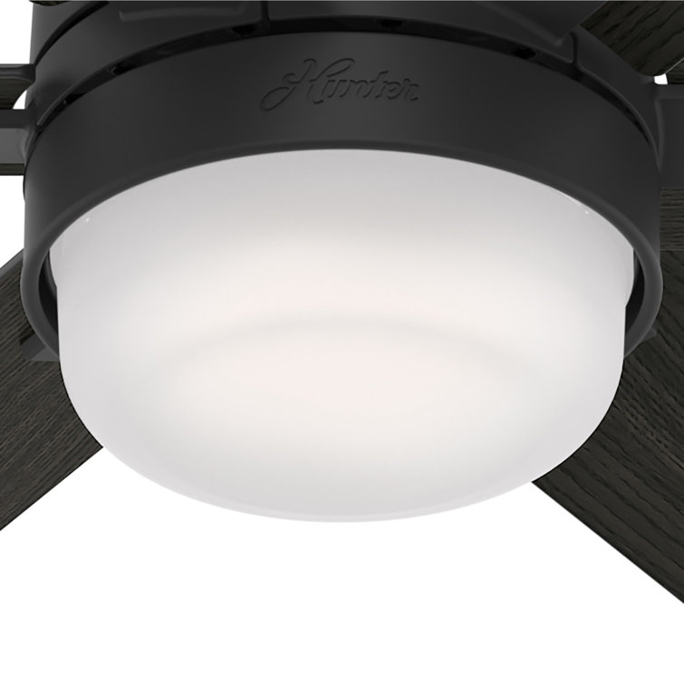 Radeon 44" Matte Black Smart Ceiling Fan with LED Light and Remote