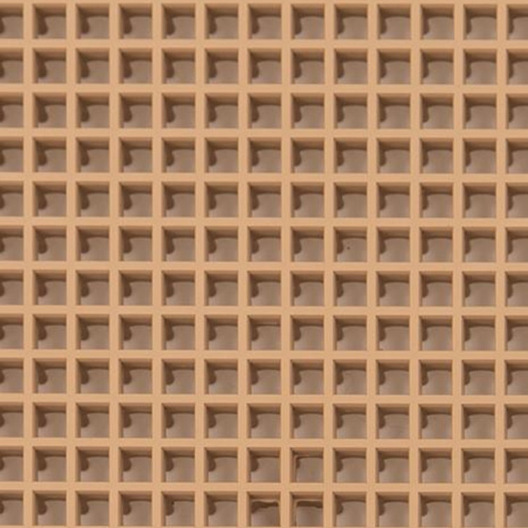 Camel's Back Plastic Interlocking Outdoor Deck Tiles
