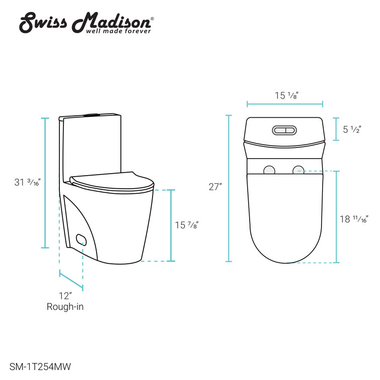 Matte White One-Piece Elongated Dual-Flush Toilet