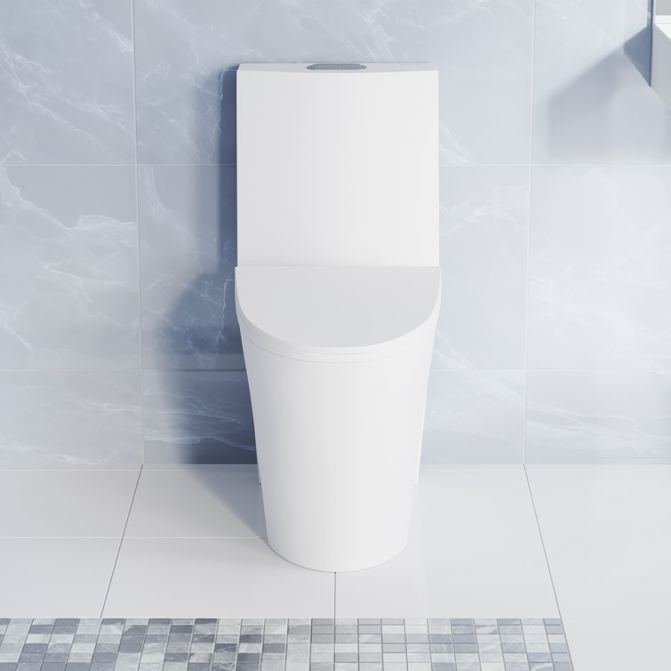 Matte White One-Piece Elongated Dual-Flush Toilet