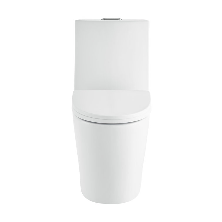 Matte White One-Piece Elongated Dual-Flush Toilet