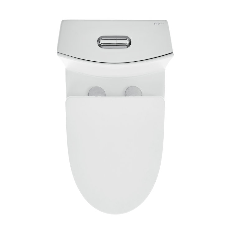 Matte White One-Piece Elongated Dual-Flush Toilet