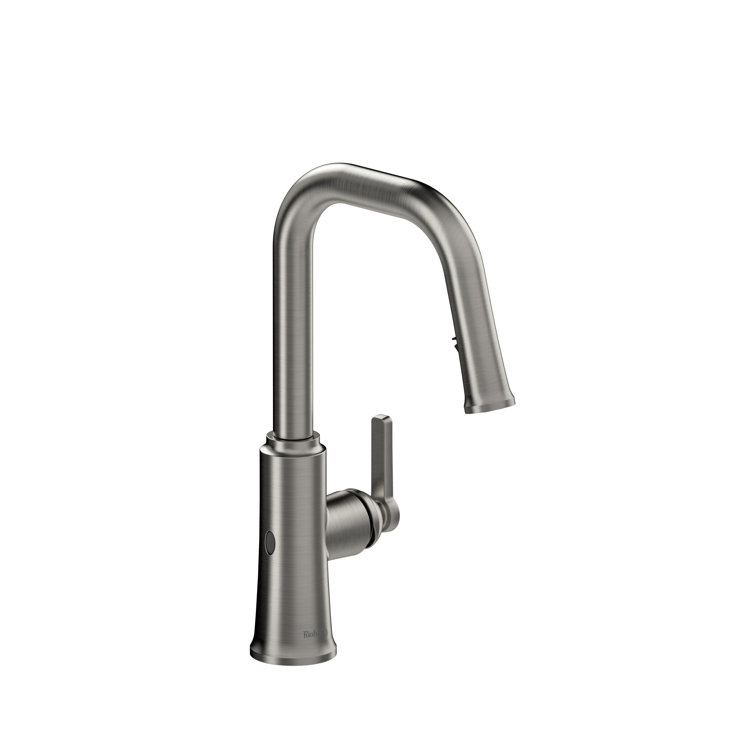 Stainless Steel Pull-Out Spray Kitchen Faucet with U-Spout