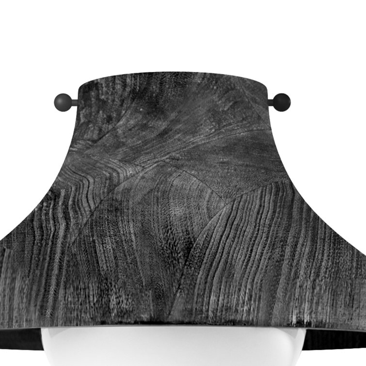 Ebony Glass Globe Farmhouse Flush Mount Light Fixture
