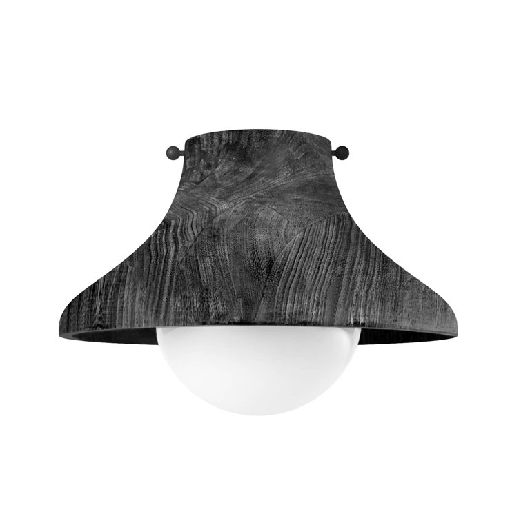 Ebony Glass Globe Farmhouse Flush Mount Light Fixture