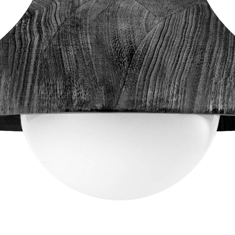Ebony Glass Globe Farmhouse Flush Mount Light Fixture