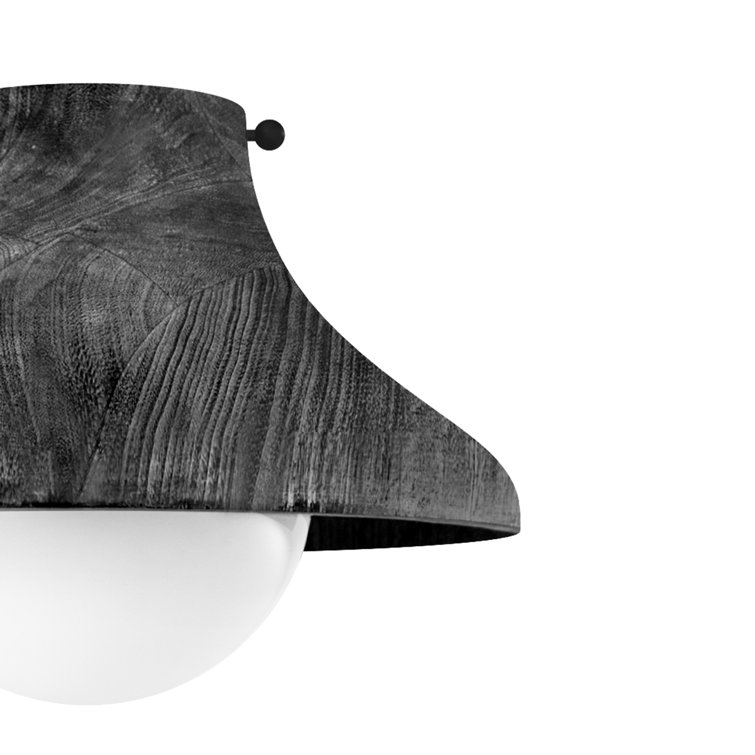 Ebony Glass Globe Farmhouse Flush Mount Light Fixture