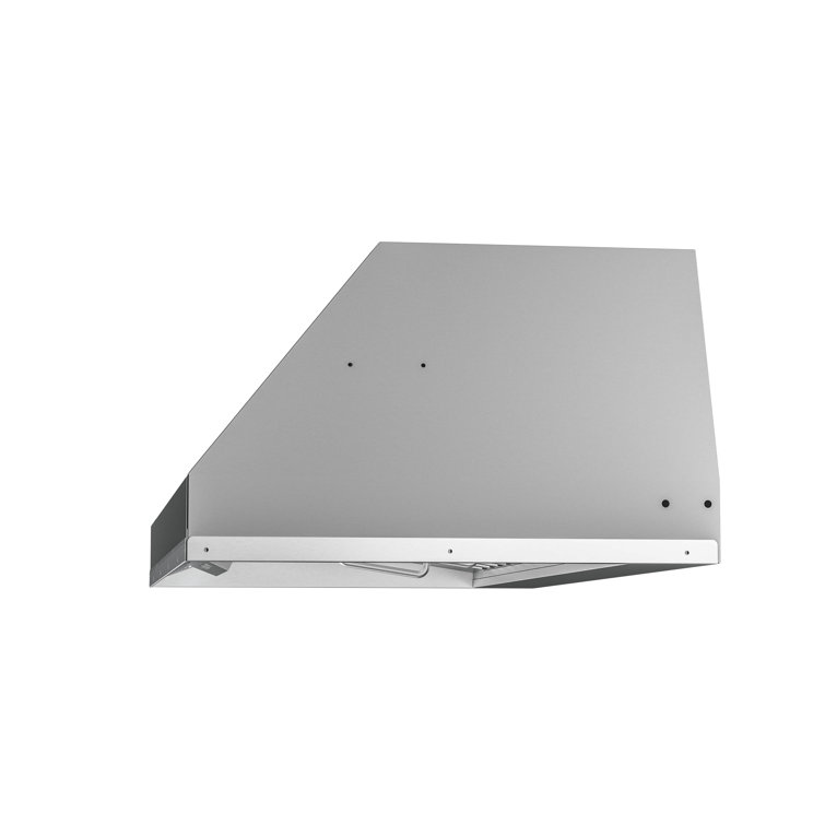Zephyr Monsoon I 30" Stainless Steel Insert Range Hood with LED Light