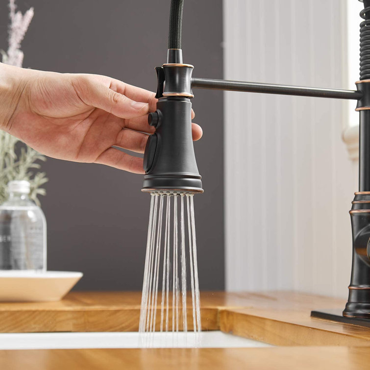 Oil Rubbed Bronze Kitchen Faucet with Pull-out Spray