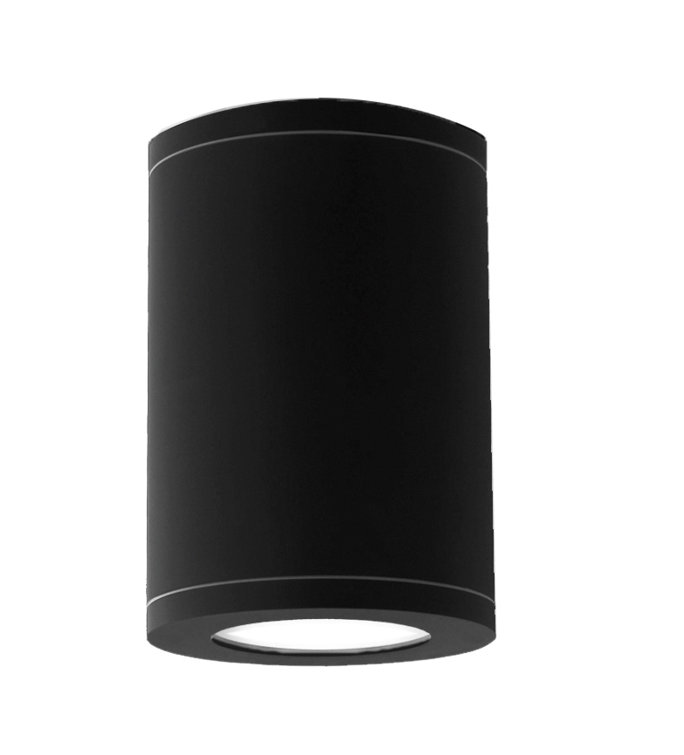 Black Aluminum LED Indoor/Outdoor Flush Mount Light