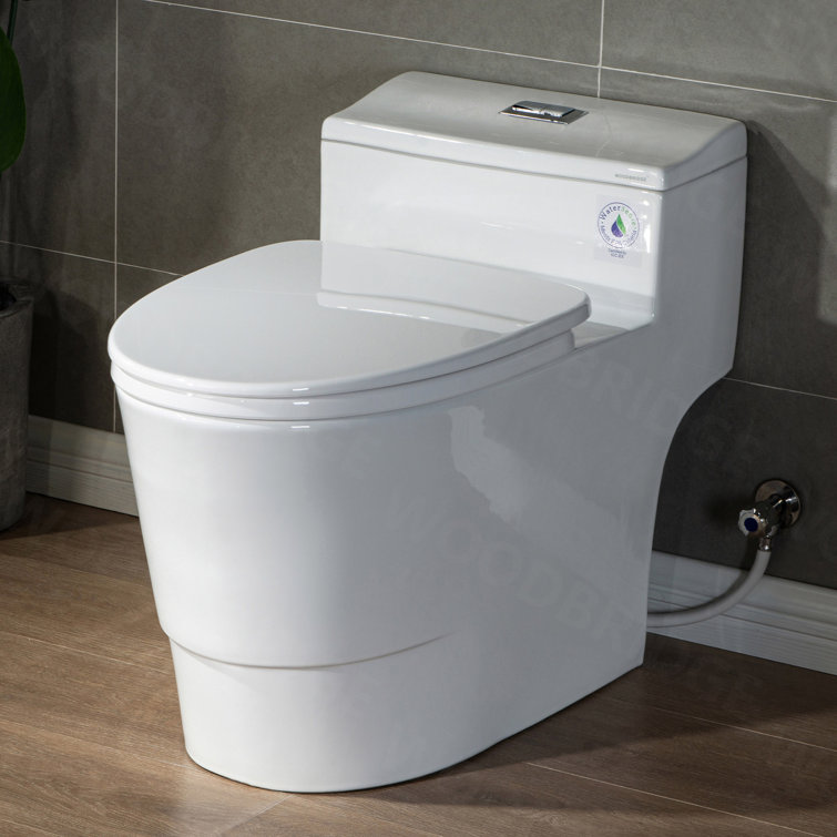 White Ceramic One-Piece Dual Flush Toilet with Chrome Button