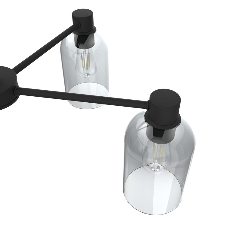 Black Iron 5-Light Chandelier with Smoked Glass Shades