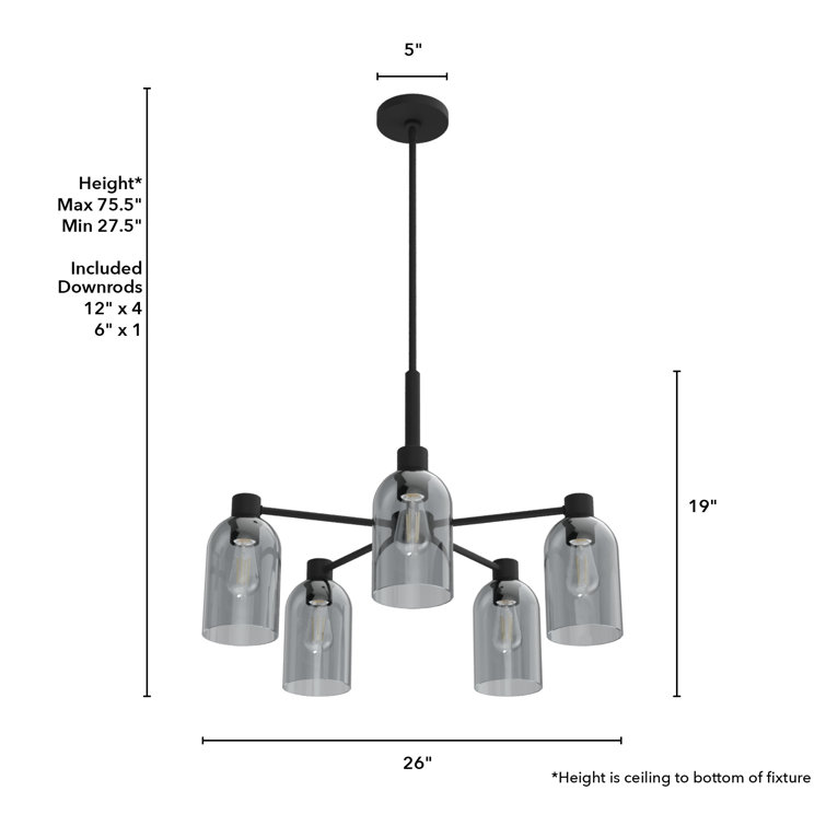 Black Iron 5-Light Chandelier with Smoked Glass Shades