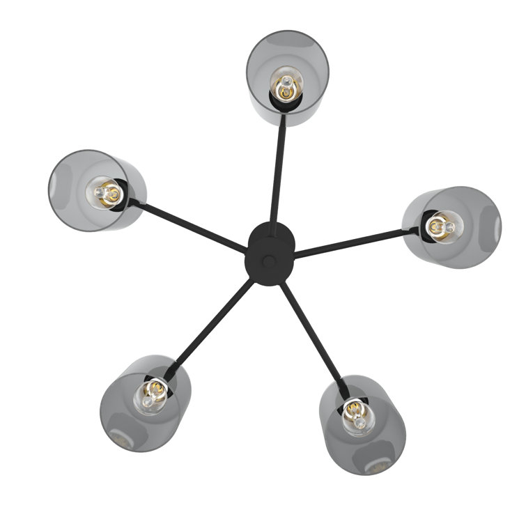 Black Iron 5-Light Chandelier with Smoked Glass Shades