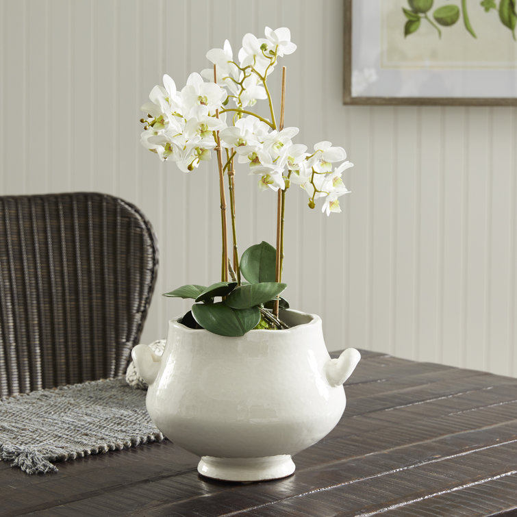 Small White Ceramic Footed Cachepot Planter