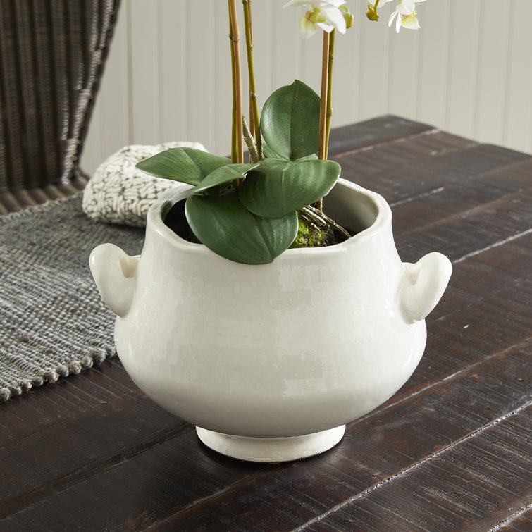 Small White Ceramic Footed Cachepot Planter
