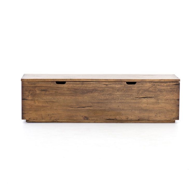 Duncan Modern Reclaimed Fruitwood 63'' Spacious Trunk