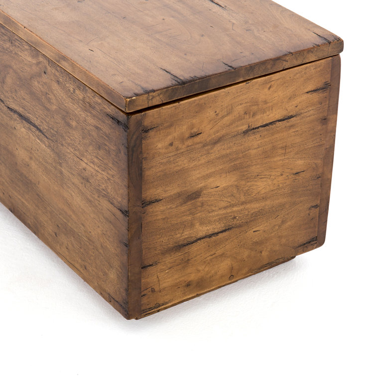 Duncan Modern Reclaimed Fruitwood 63'' Spacious Trunk