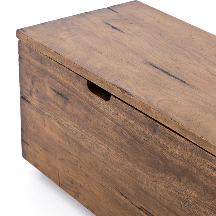 Duncan Modern Reclaimed Fruitwood 63'' Spacious Trunk