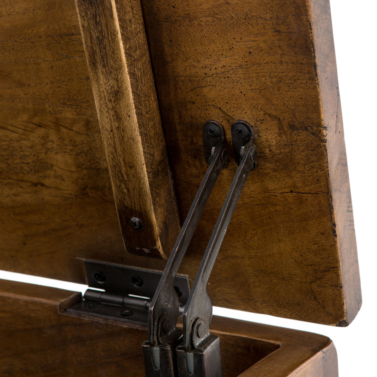 Duncan Modern Reclaimed Fruitwood 63'' Spacious Trunk