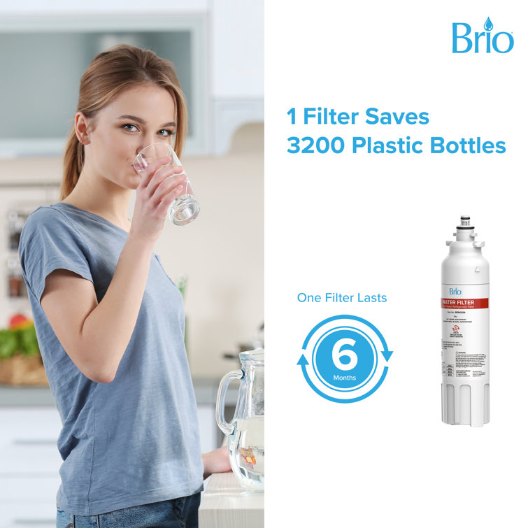 Brio White Carbon Charcoal Refrigerator Water Filter