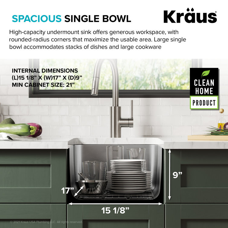 Dex 17" Stainless Steel Single Bowl Undermount Kitchen Sink