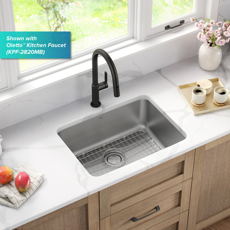 Dex 25-Inch Stainless Steel Single Bowl Drop-In Kitchen Sink