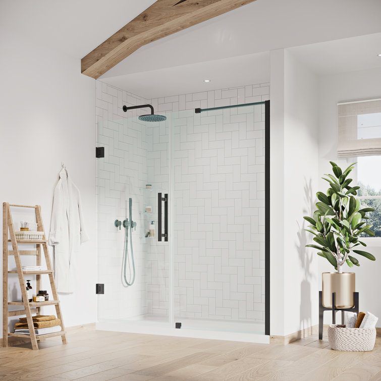 Tampa-Pro 60" Black Frameless Alcove Shower Kit with Shelves