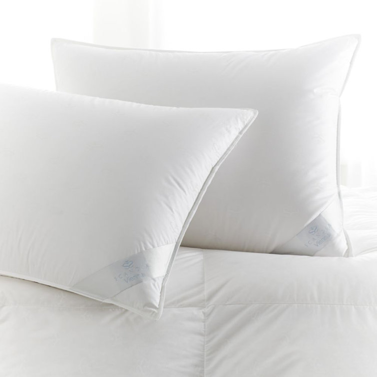 Standard White Cotton Hypoallergenic Medium Density Pillow