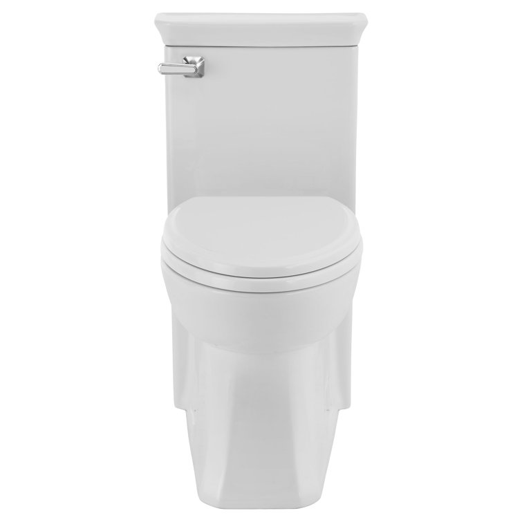 Canvas White High Efficiency One-Piece Elongated Toilet