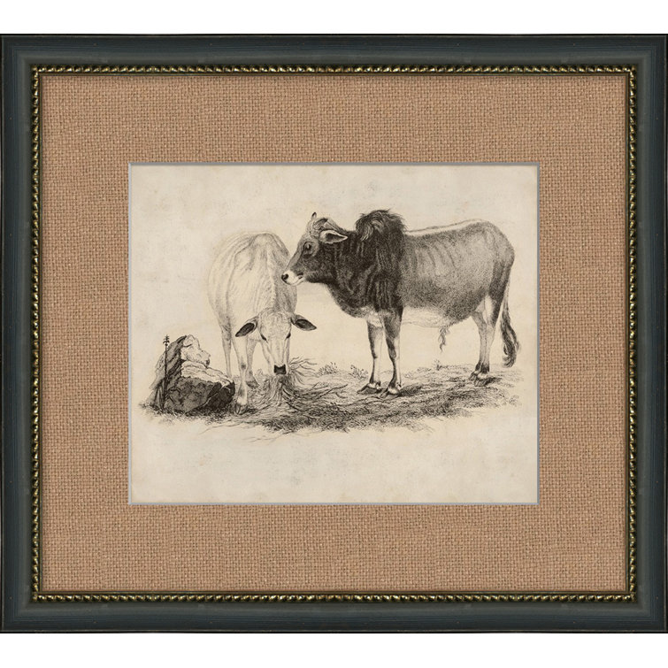 Antique Grazing Cows Drawing Print in Distressed Black and Gold Wood Frame
