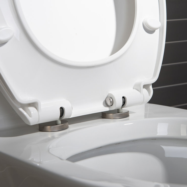 White Elongated Dual-Flush High Efficiency Toilet with Soft-Closing Seat