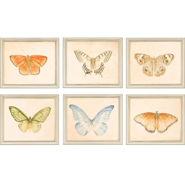 Set of 6 Butterfly Prints on Canvas with Silver Frames