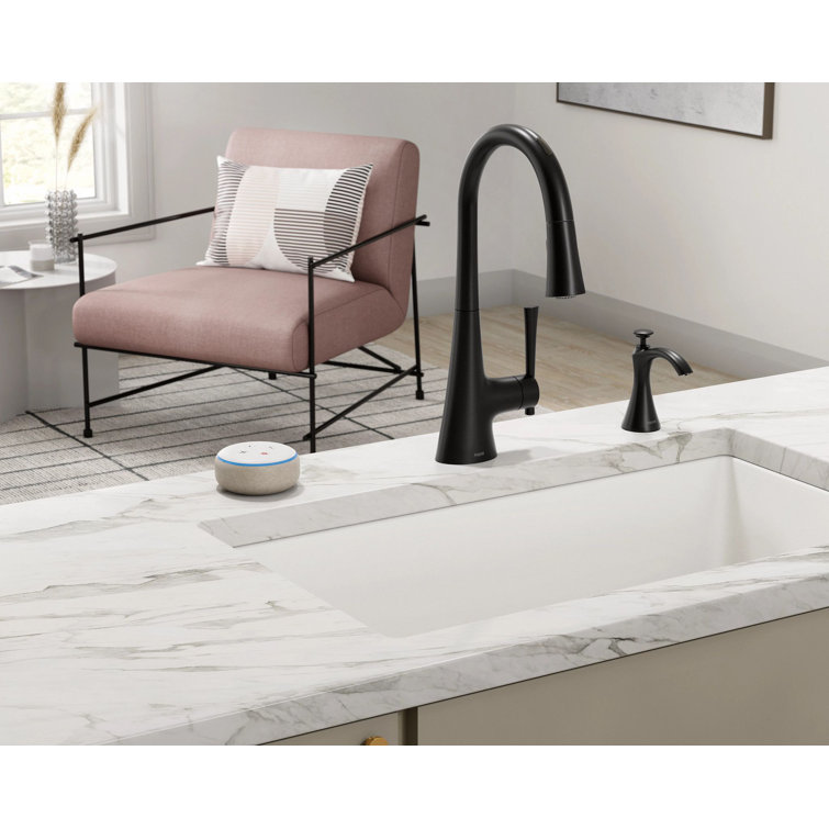 Matte Black Stainless Steel Transitional Soap Dispenser